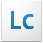 Adobe LiveCycle Designer – Basis